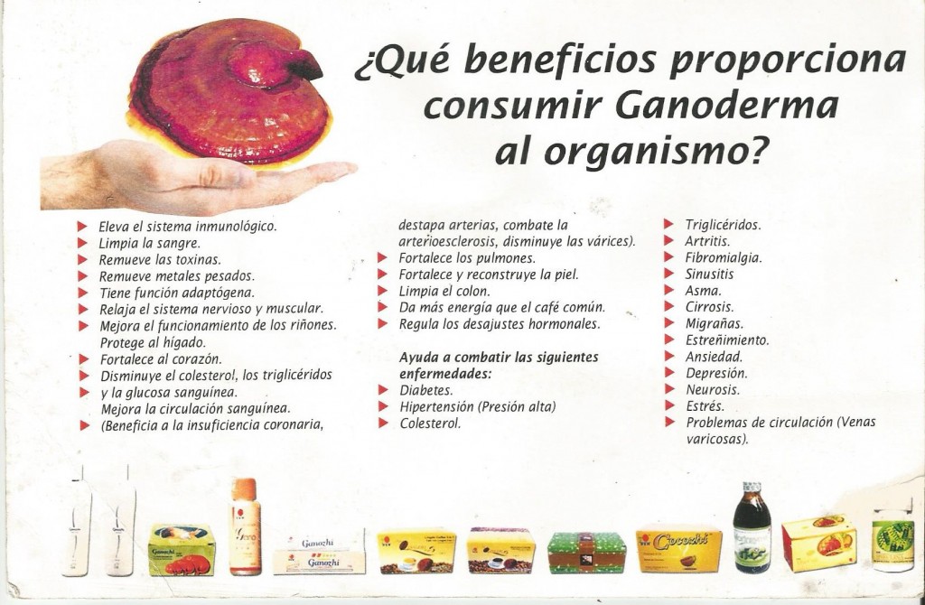 APOYA AL CUERPO SANO Y AL CUERPO ENFERMO YA QUE LIMPIA LAS CÉLULAS POR LOS INGREDIENTES ACTIVOS QUE TIENE ESTE HONGO...